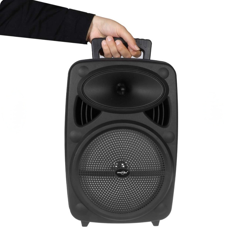اسپیکر بلوتوثی GTS مدل GTS-2385 سایز ۸ اینچ همراه با دو عدد میکروفن